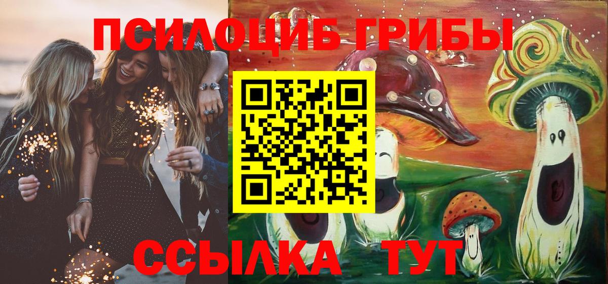 Галлюциногенные грибы мицелий  Краснодар 