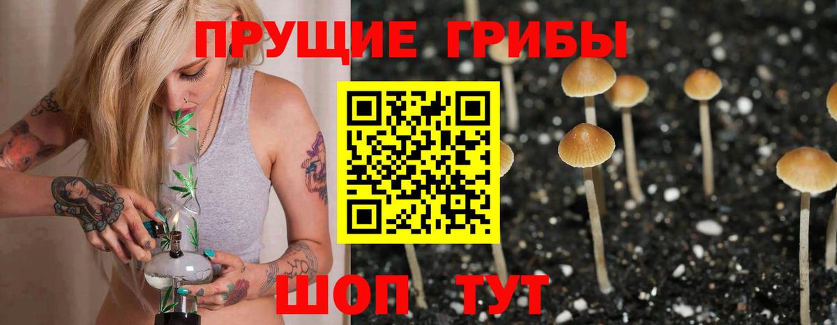 Краснодар  Псилоцибиновые грибы мухоморы  дарнет шоп  Вход с VPN 