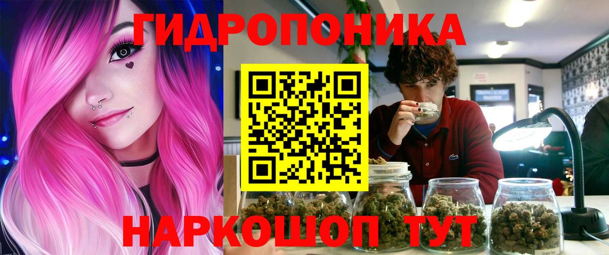 Шишки марихуана AK-47  Вход с VPN  Бошки Шишки марихуана  Краснодар  МАРИХУАНА гибрид 